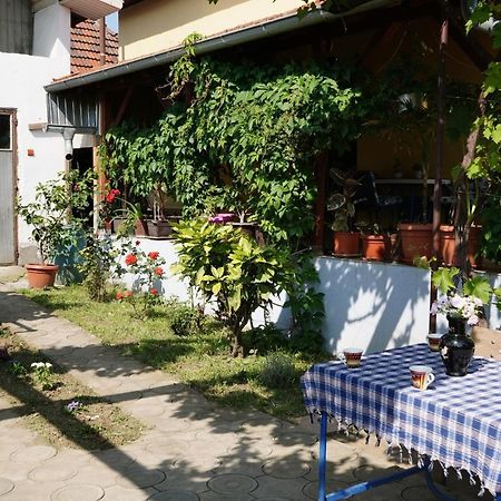 Etnobubi Apartment Novi Sip Exterior foto