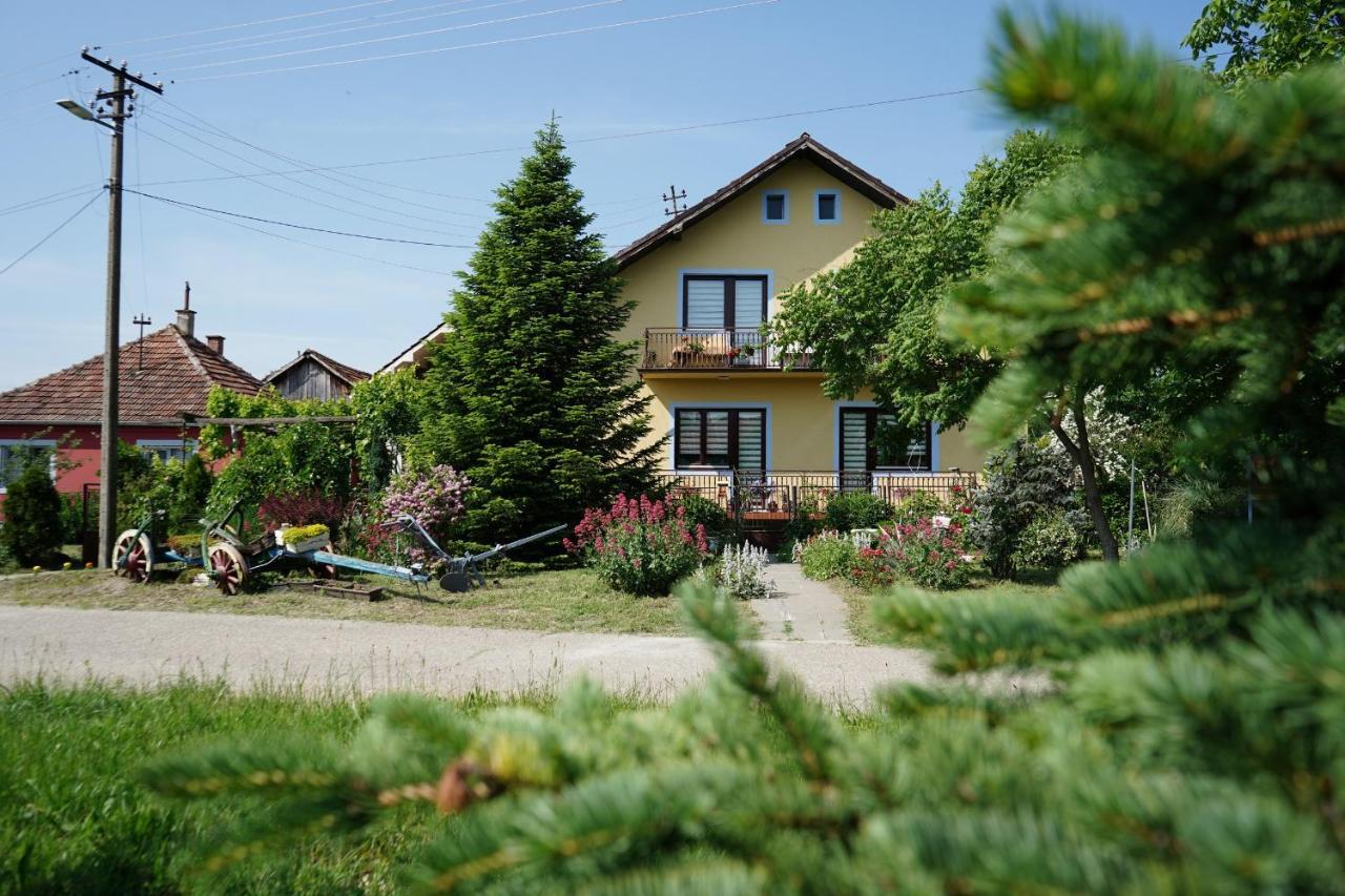 Etnobubi Apartment Novi Sip Exterior foto