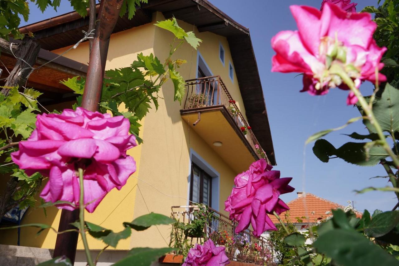 Etnobubi Apartment Novi Sip Exterior foto