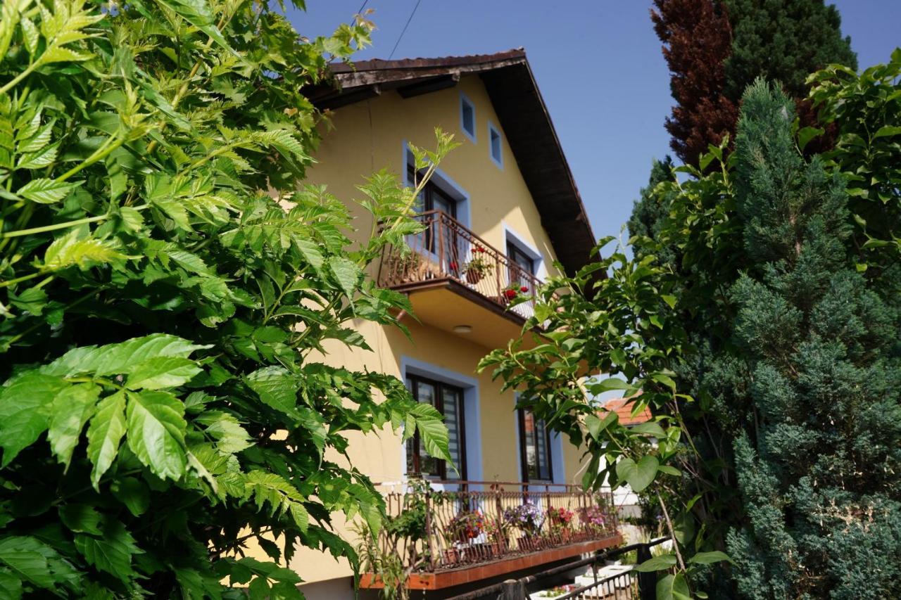 Etnobubi Apartment Novi Sip Exterior foto