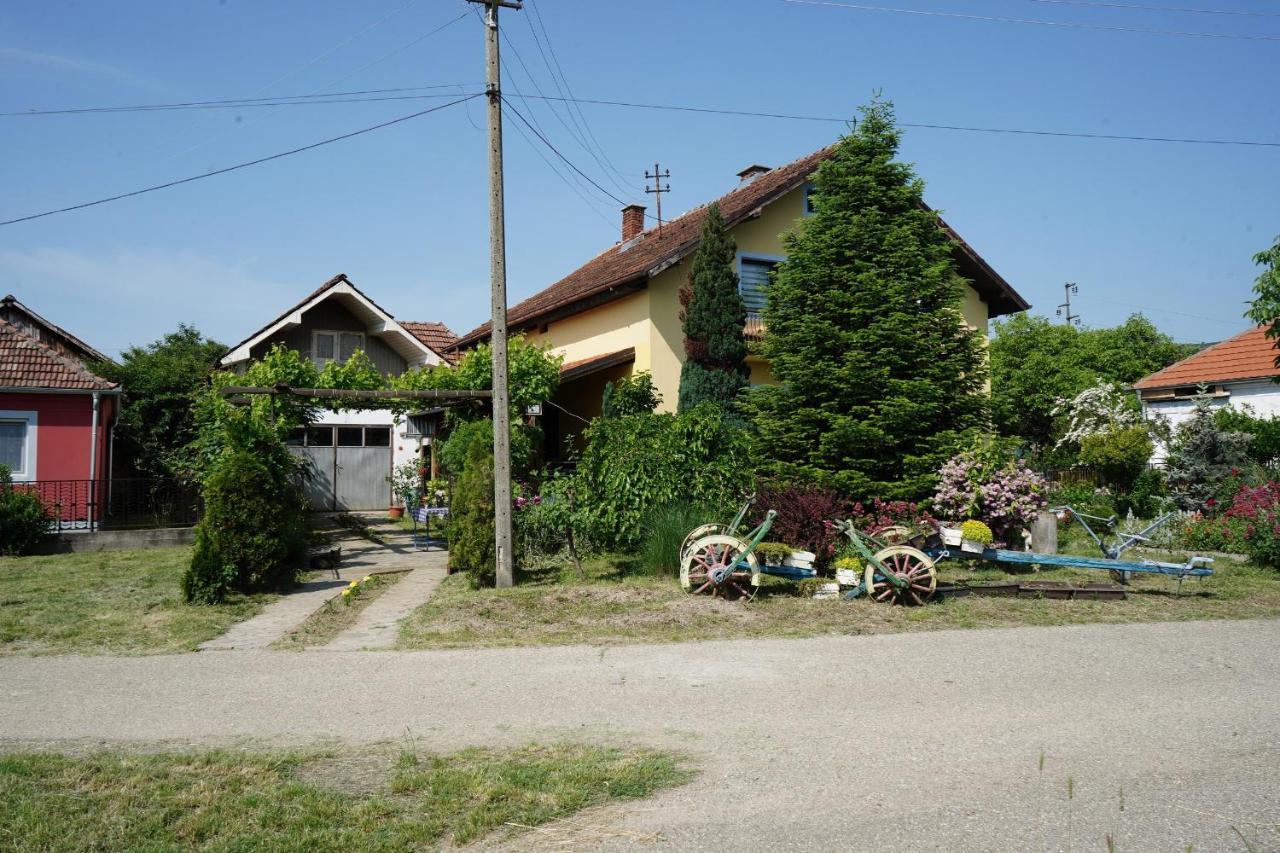 Etnobubi Apartment Novi Sip Exterior foto