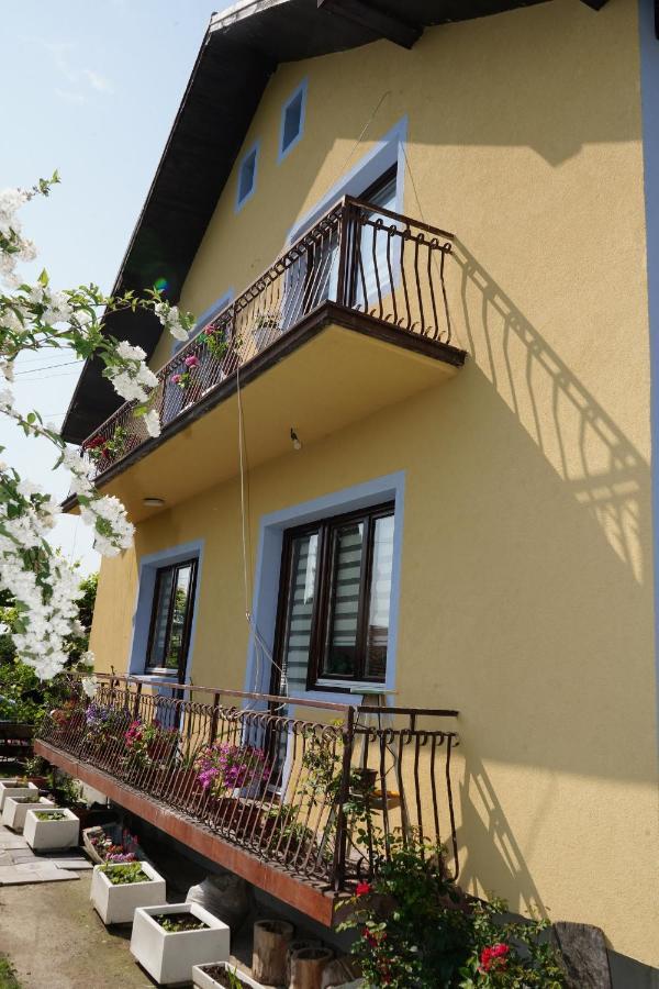 Etnobubi Apartment Novi Sip Exterior foto