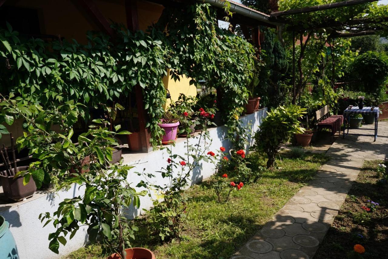 Etnobubi Apartment Novi Sip Exterior foto