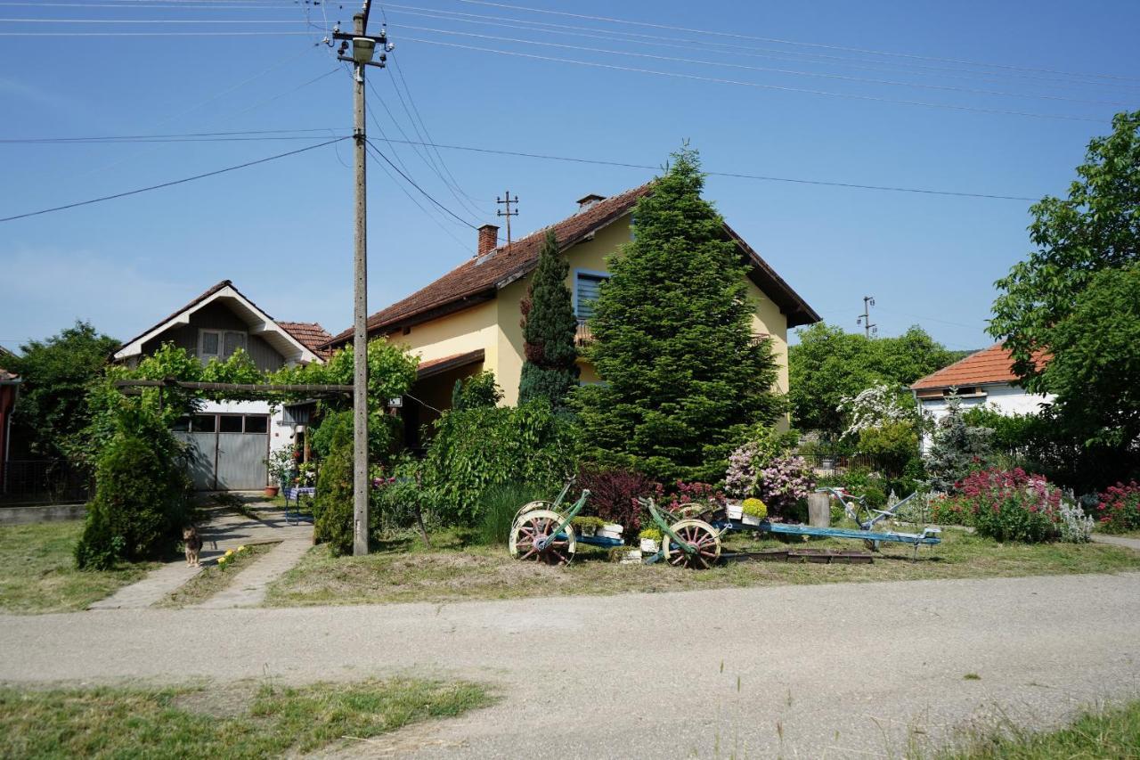 Etnobubi Apartment Novi Sip Exterior foto