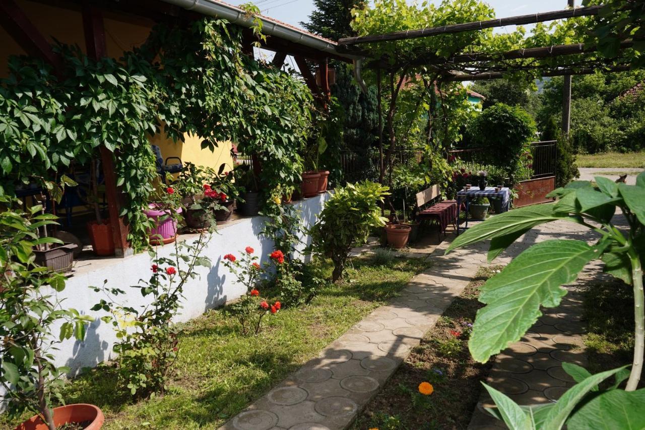 Etnobubi Apartment Novi Sip Exterior foto