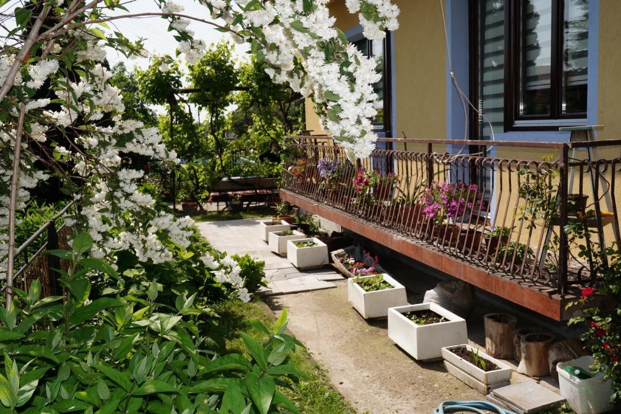 Etnobubi Apartment Novi Sip Exterior foto