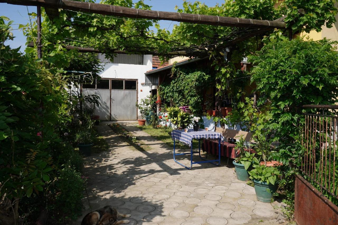 Etnobubi Apartment Novi Sip Exterior foto