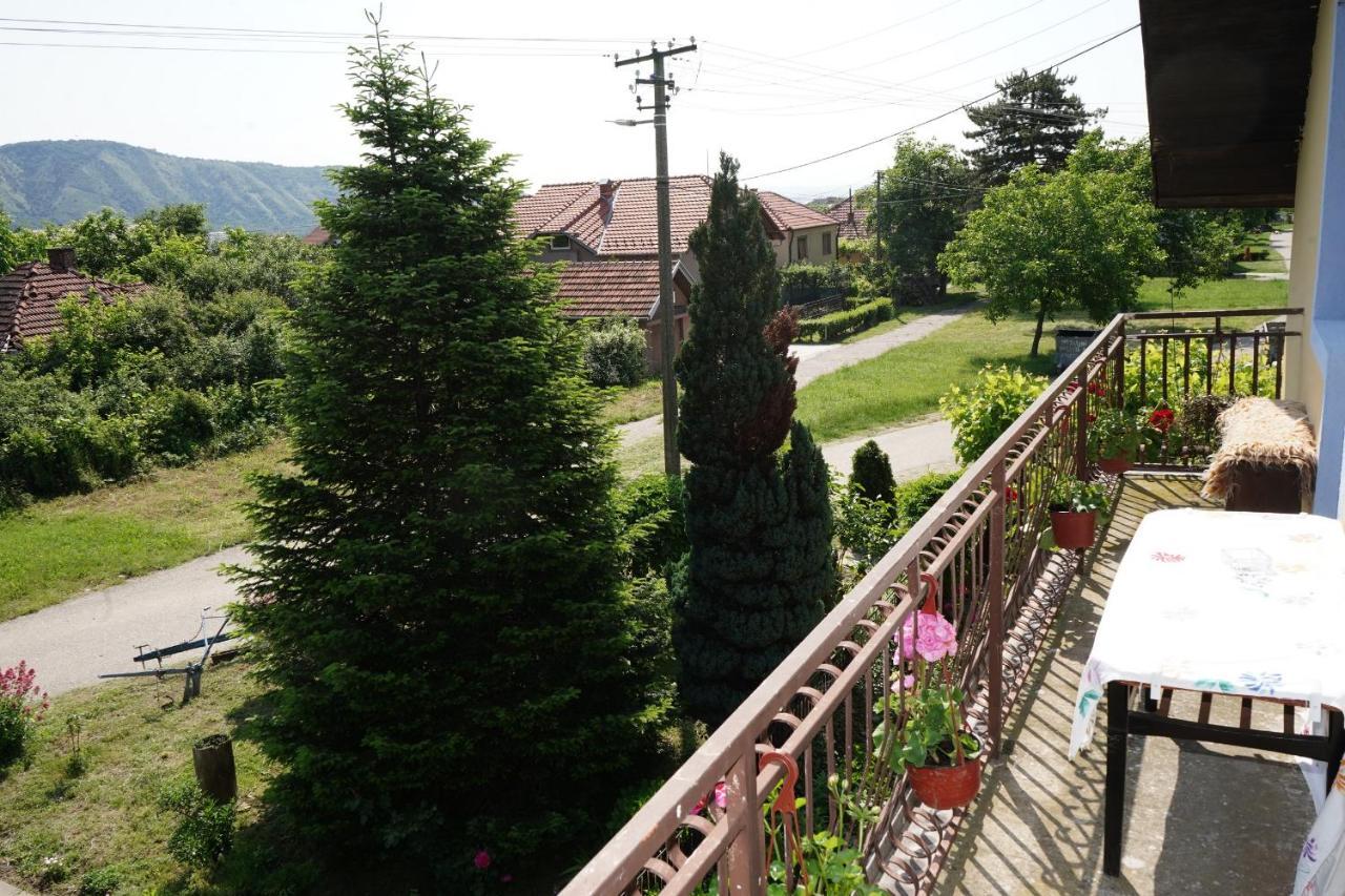Etnobubi Apartment Novi Sip Exterior foto